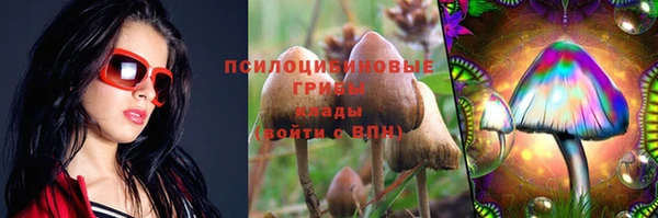 скорость Горняк