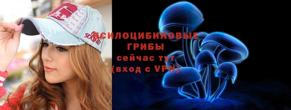 скорость Горняк