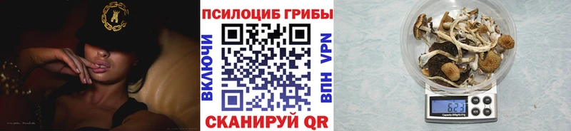 закладка  Мценск  Галлюциногенные грибы GOLDEN TEACHER 
