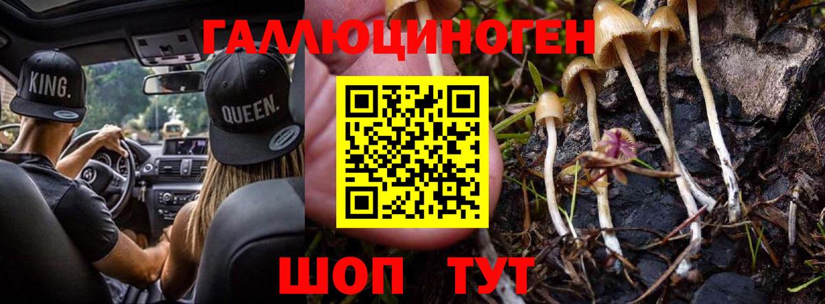 Мценск  Галлюциногенные грибы Magic Shrooms  Вход с VPN  Псилоцибиновые грибы мухоморы 
